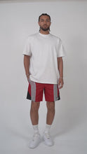 Load and play video in Gallery viewer, Eptm - 3M curve shorts red
