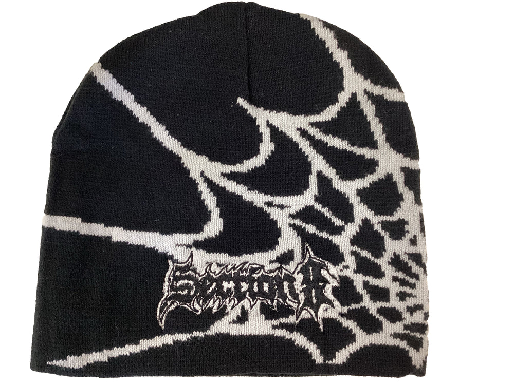 Section 8 - Spider knit skully